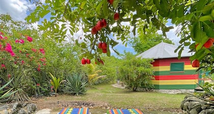 Judy House - Lewi's Backpacker Hostel