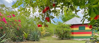 Judy House - Lewi's Backpacker Hostel