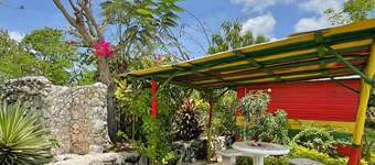 Judy House - Lewi's Backpacker Hostel