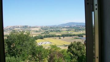 Kamar Double | Pemandangan dari kamar