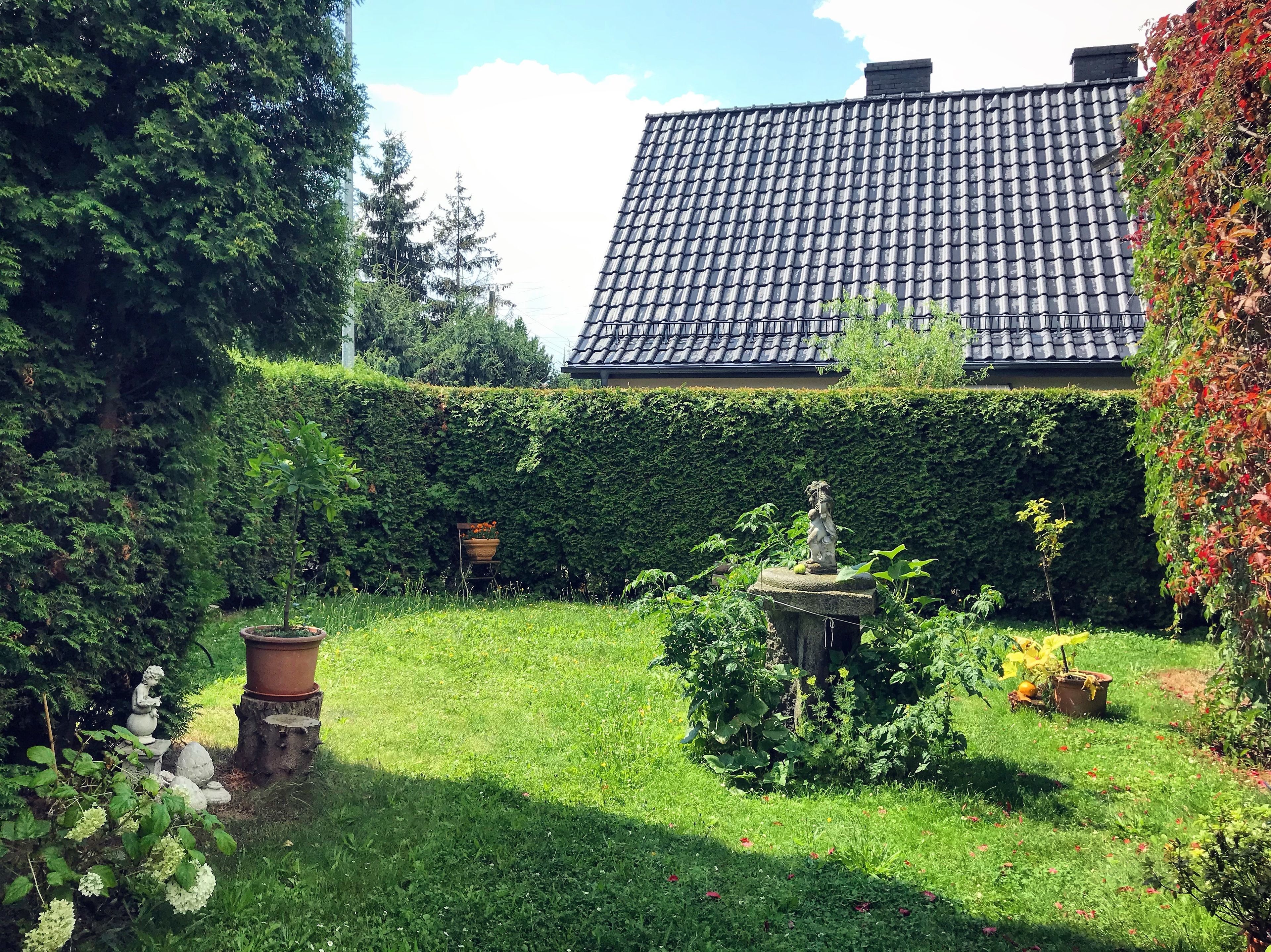 Un jardin avec une statue, une plante en pot et une haie.