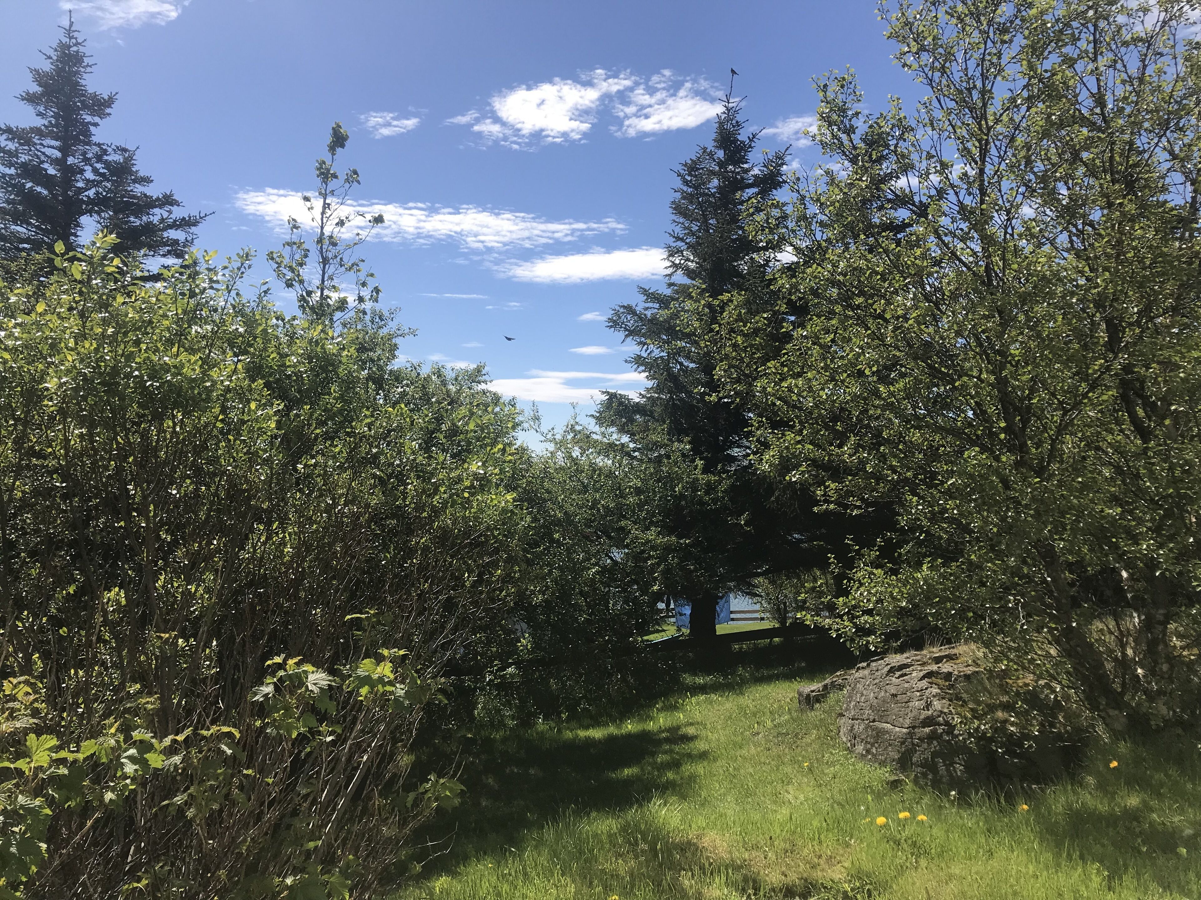 Foto - Blómasetrið Homestay