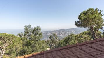 Deluxe kamer | Terras