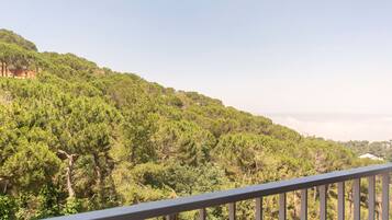 Kamer, 1 twee- of 2 eenpersoonsbedden | Terras