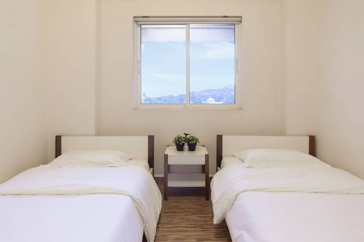 A room with two single beds, a small bedside table with a plant, and a window with a view of a distant landscape.