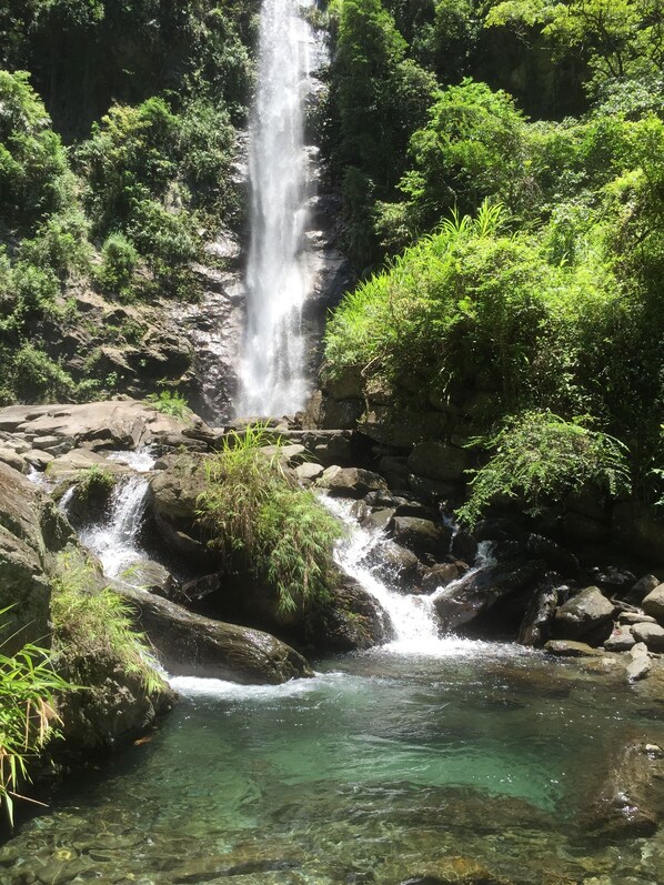 Natural pool