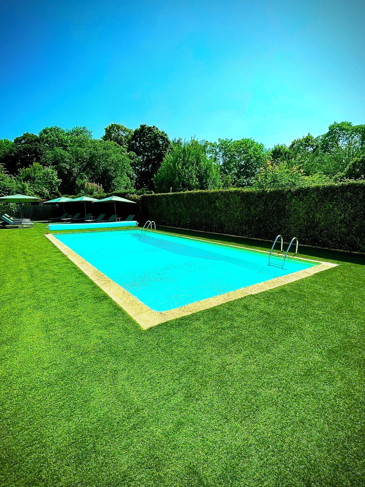 A rectangular swimming pool with a ladder on one side, surrounded by well-manicured grass and a hedge.
