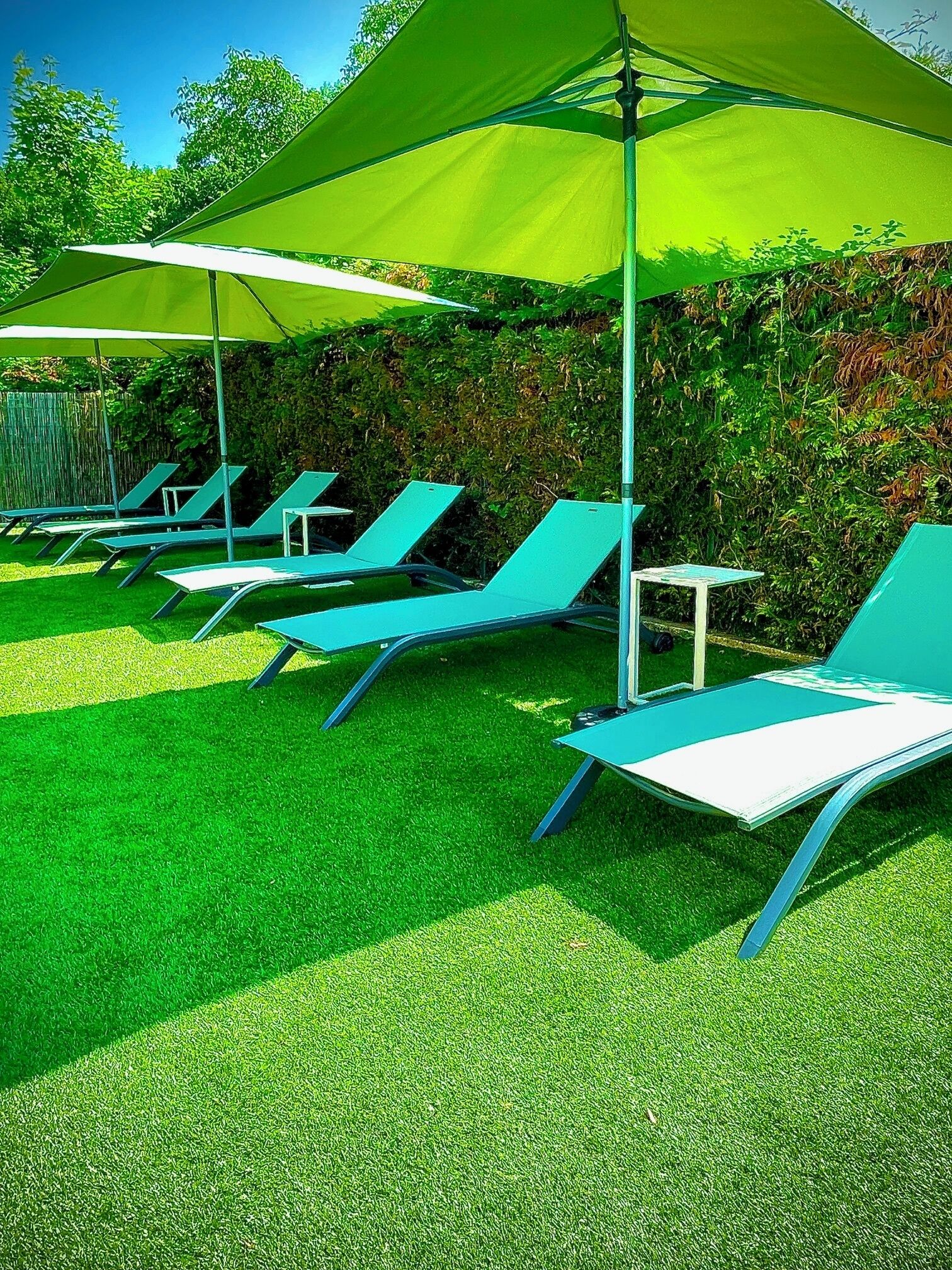 A row of outdoor lounge chairs under a large umbrella, set on a well-maintained lawn with a hedge in the background.