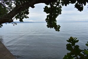A calm body of water with a tree branch overhanging. - Seaside Travelers Inn by Camiguin Island Home (Catarman)
