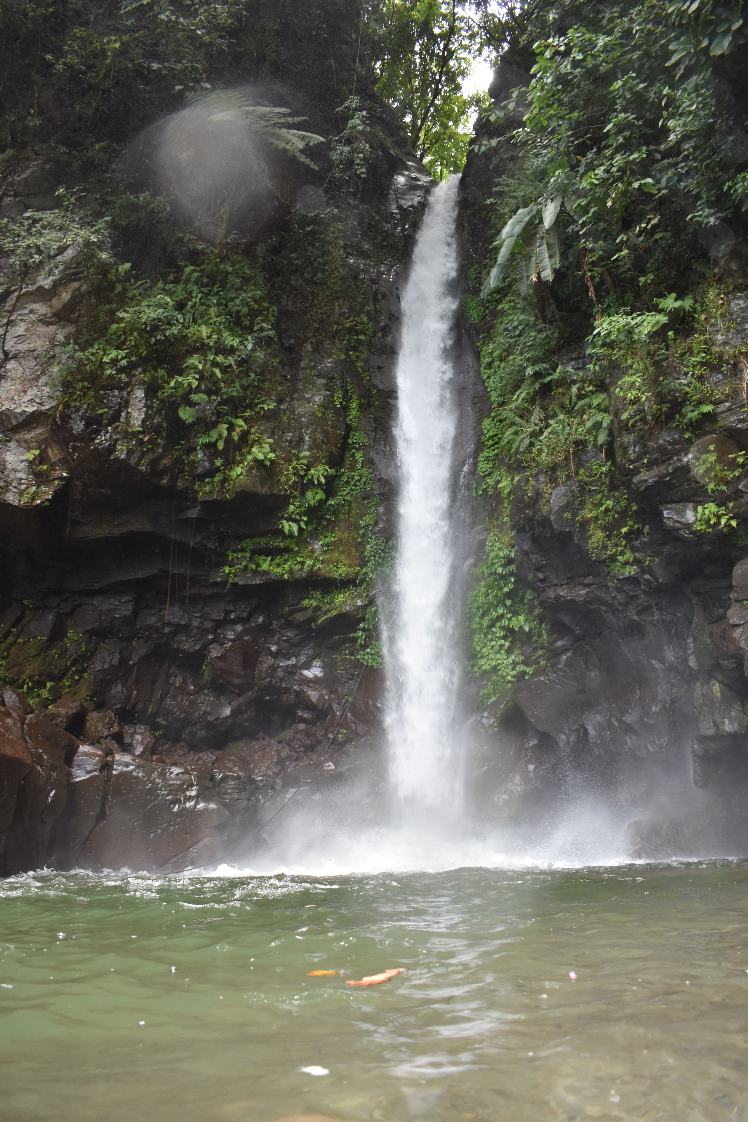 Una cascada se precipita por un acantilado rocoso, rodeada de abundante vegetación.