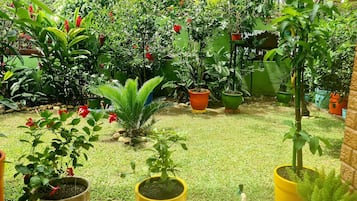 Varanda