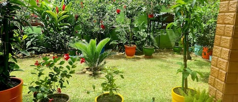 Veranda
