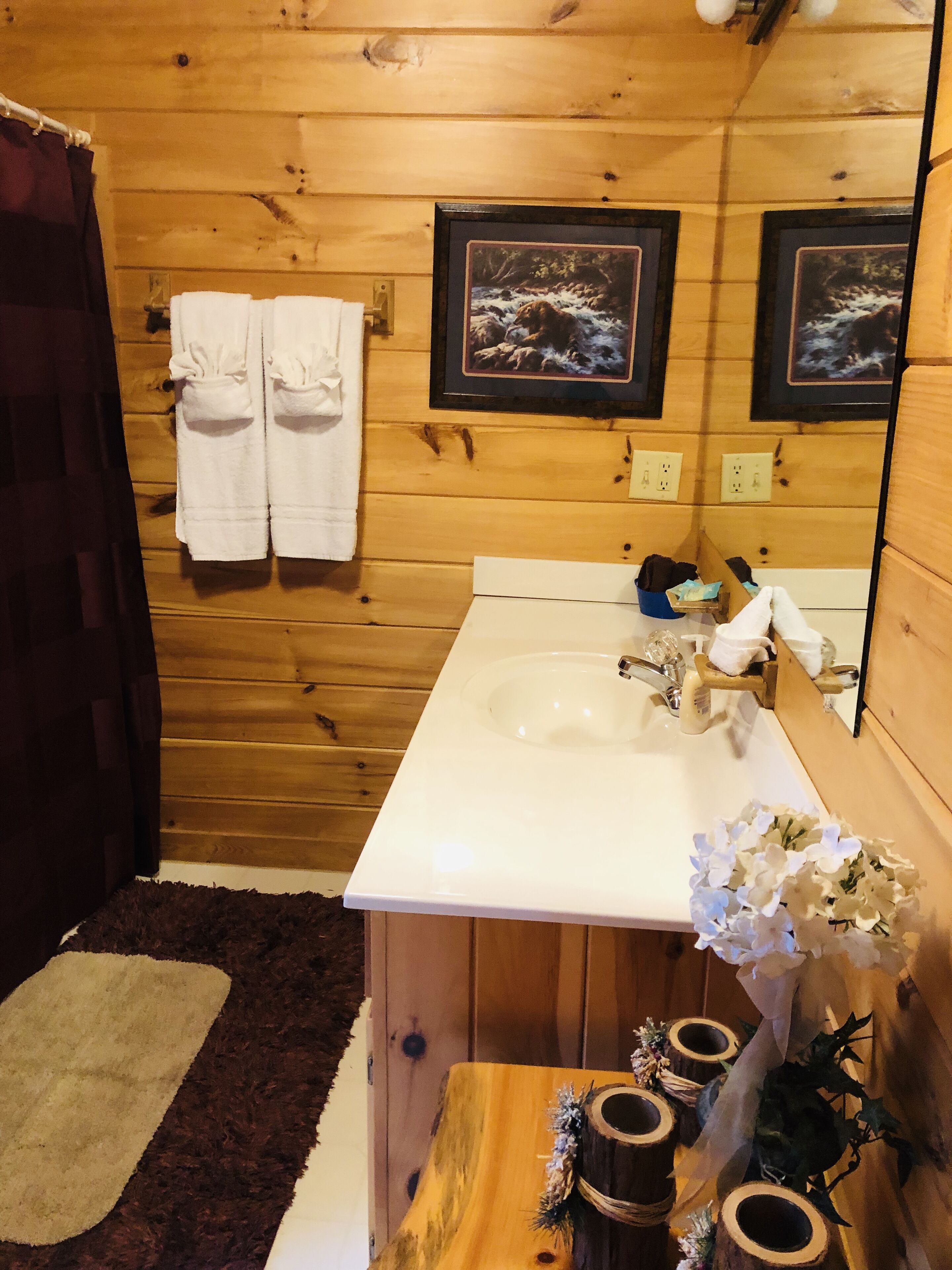 Ein Badezimmer einer Holzhütte mit einem Waschbecken, zwei gerahmten Bildern an der Wand und Handtüchern, die an Haken hängen.
