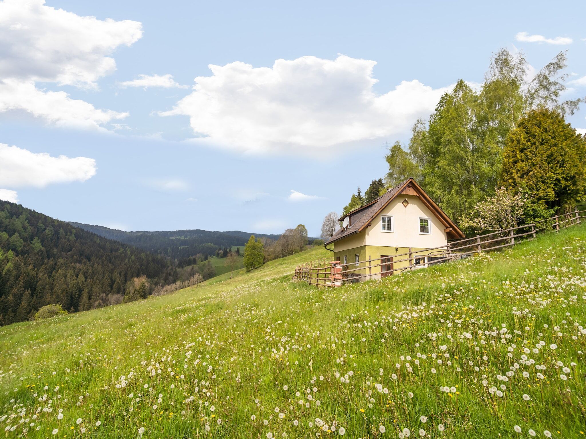 Außenseite Ferienhaus [Sommer]