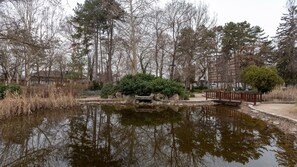 Cross a tranquil bridge over a serene pond surrounded by trees.