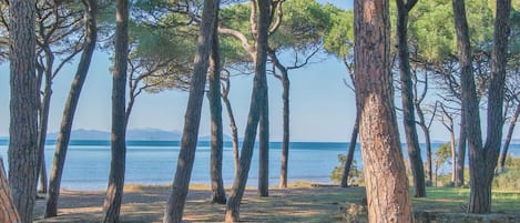 Vlak bij het strand, vissen
