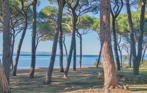 Plage à proximité, pêche récréative