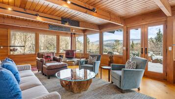 TV, fireplace, DVD player, books