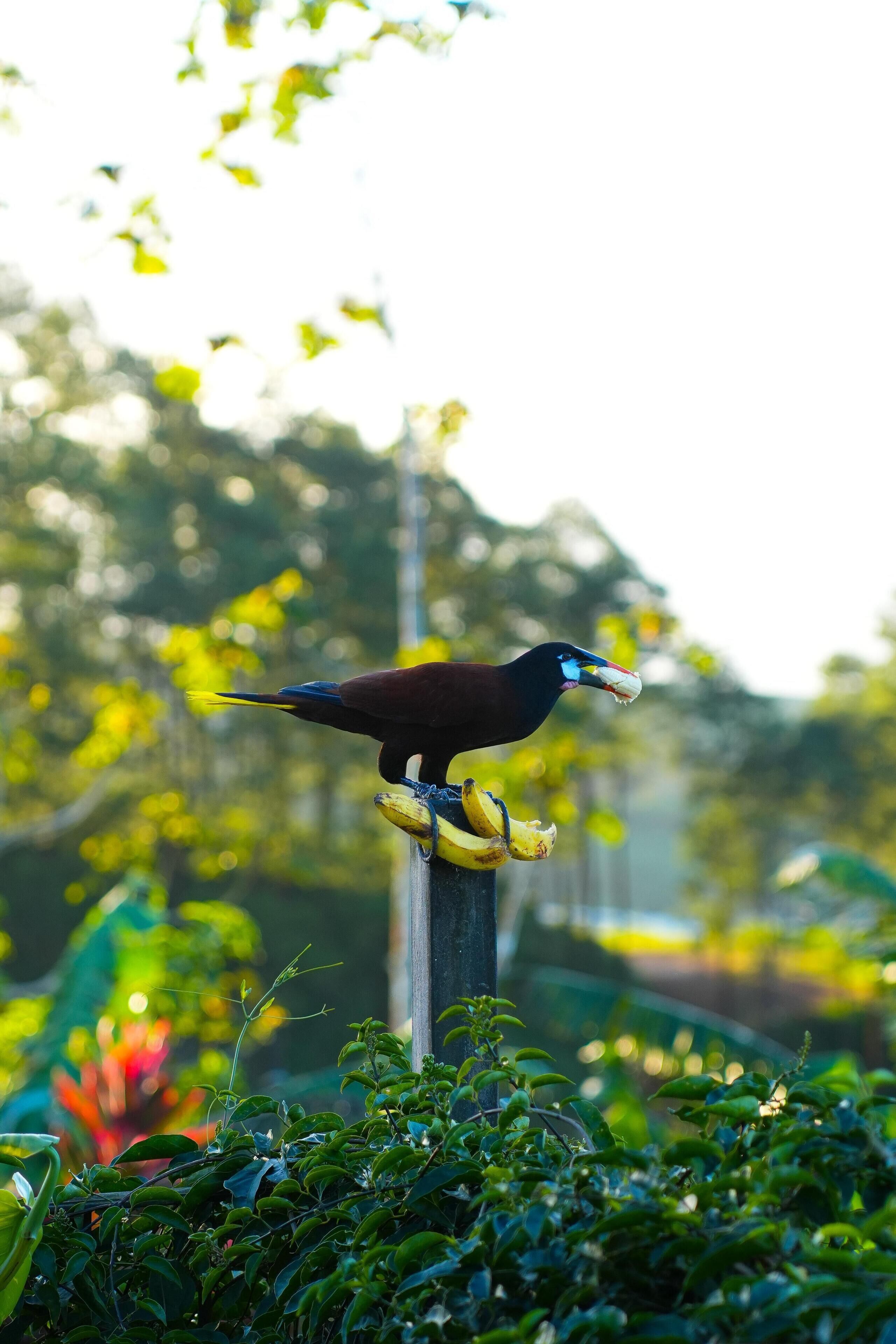 Breakfast, lunch, dinner served; local and international cuisine 