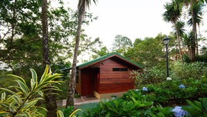 Une cabane en bois avec un toit vert, entourée d’une végétation luxuriante et de plantes tropicales.