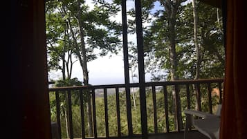 全景小木屋, 1 張特大雙人床, 無障礙 | 客房景觀