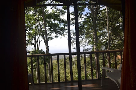 Panoramic Chalet, 1 King Bed, Accessible | View from room
