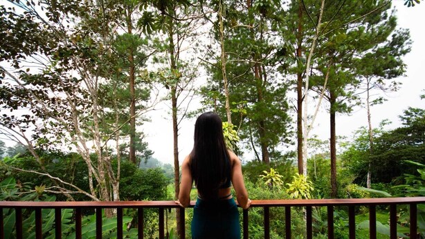 Une personne se tient sur un balcon qui donne sur un jardin luxuriant, où l’on peut voir différentes espèces d’arbres et de plantes.