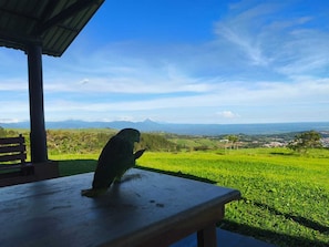 Smart TV, Netflix - Eco Granja Sostenible Don Lolo (Quesada)