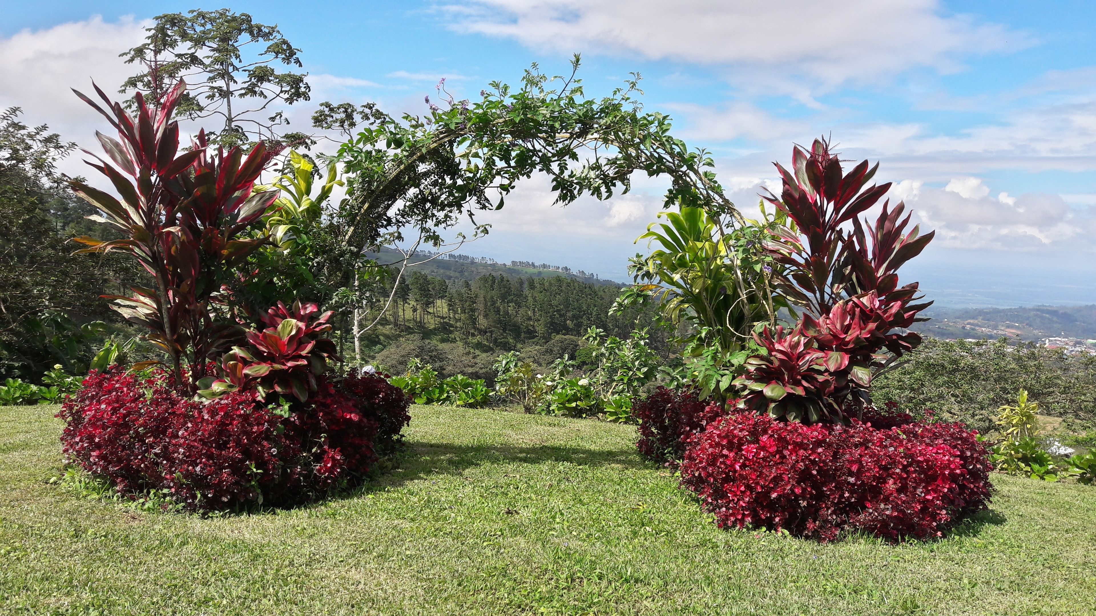 breakfast, lunch, dinner served; local and international cuisine