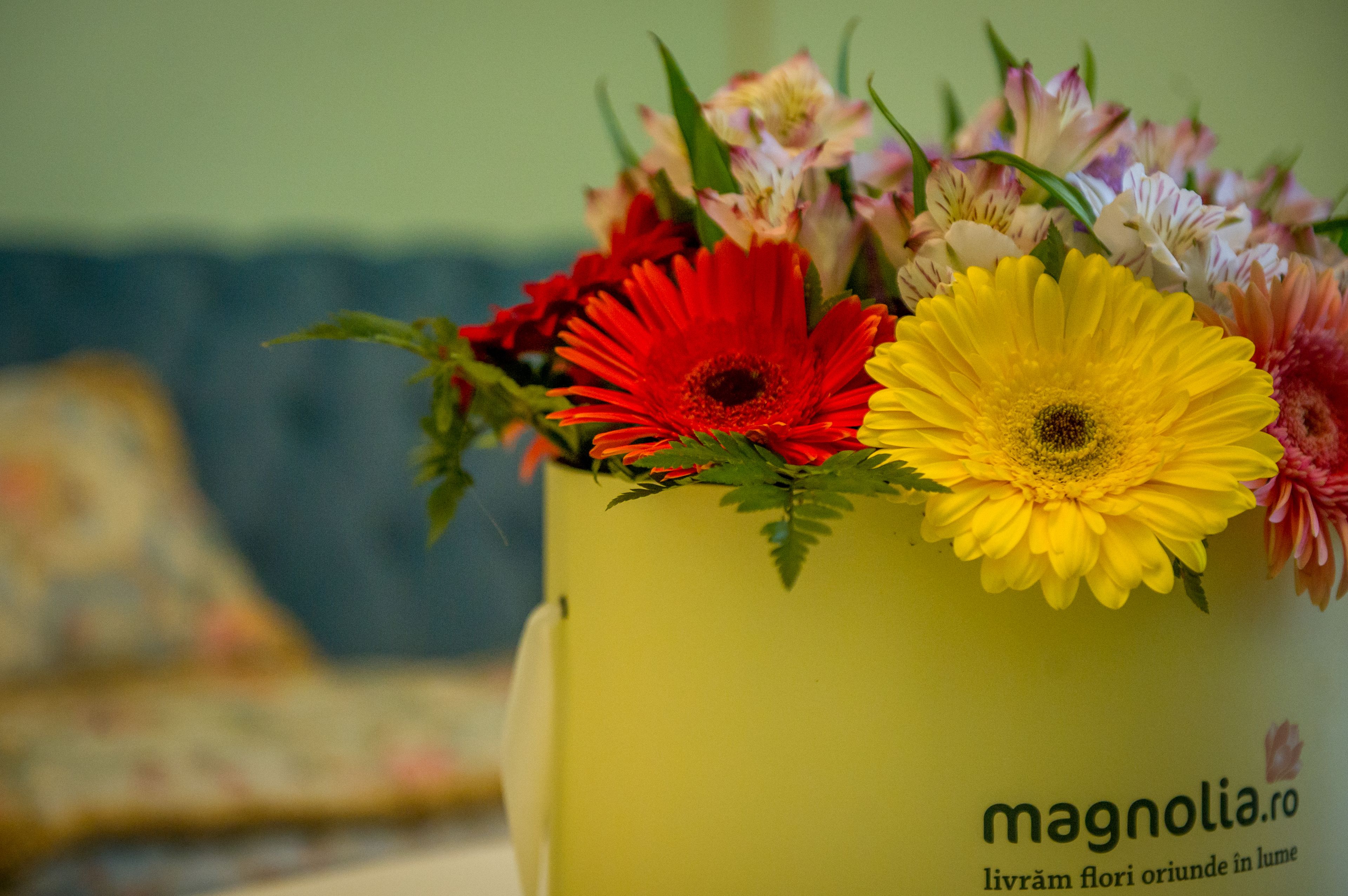 A yellow vase with a variety of flowers, including red, yellow, and pink blooms.