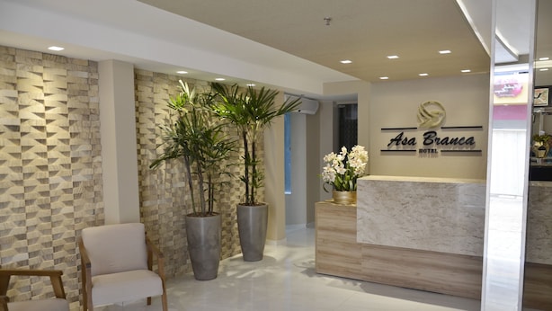 Un área de recepción de diseño moderno, con mostrador de recepción, zona de estar con una silla y grandes plantas en macetas.