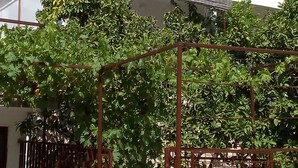 Un edificio blanco con antena parabólica, balcón y una reja de metal al frente.