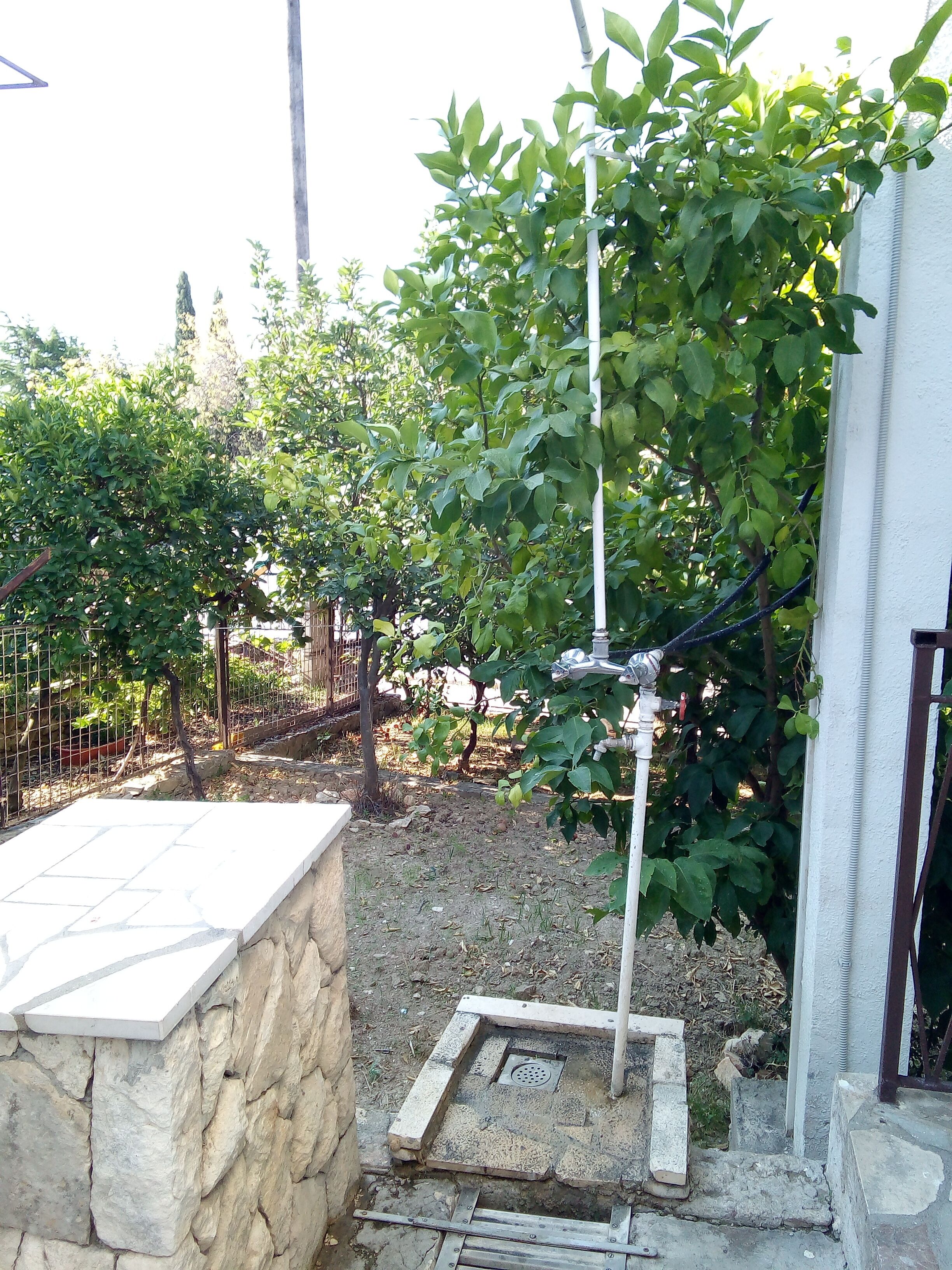 A stone wall with a metal gate, a small garden area with a tree, and a white building in the background.