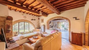 Smart-TV, Kamin, Bücher, Arbeitsbereiche