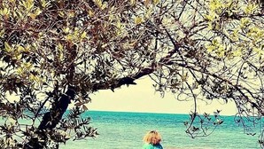 A person standing in shallow water near a tree with a clear view of the ocean. - Evasion (Gressier)