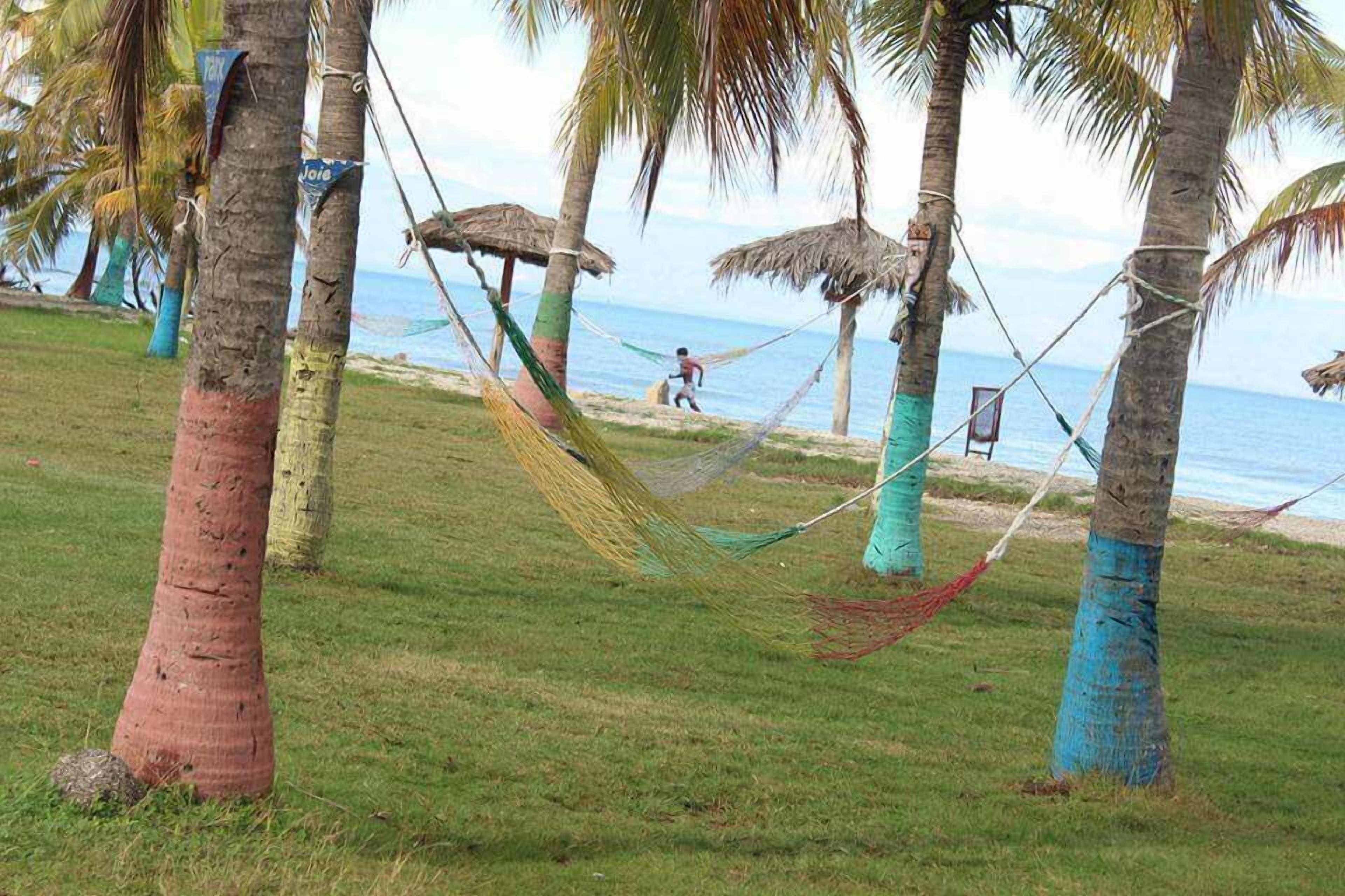 A beach scene with palm trees, a hammock, and a person running along the shore.