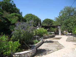 Garden with barbecue in back ground 