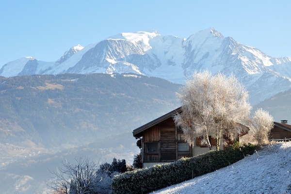 Première neige