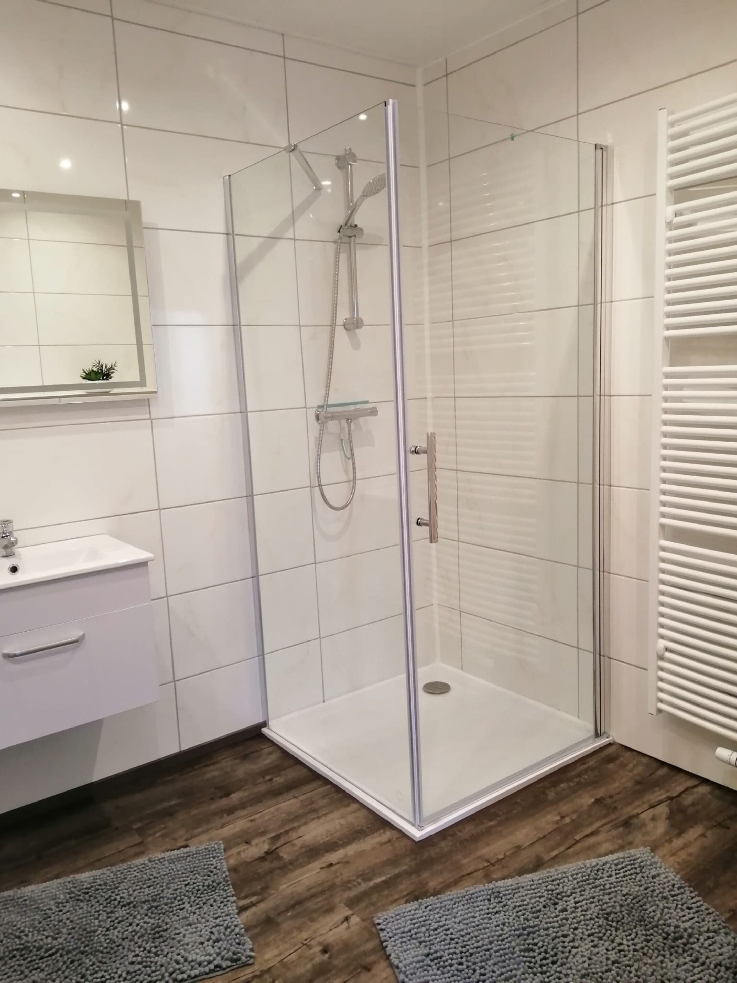 Shower, hair dryer, towels, toilet paper