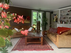 Télévision, lecteur de DVD, table de tennis de table, livres