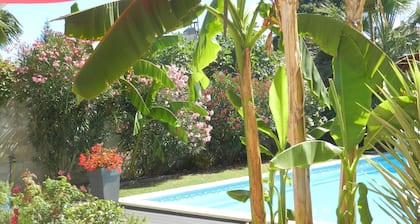 Bordeaux "la campagne à la ville" Villa climatisée- piscine chauffée