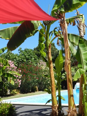 Piscine extérieure, piscine chauffée