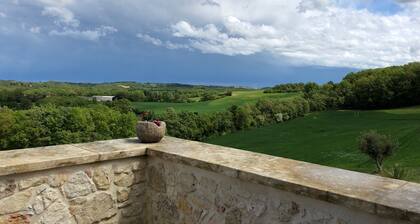 Charming house in the heart of the Gers countryside