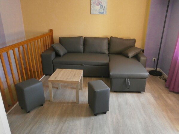 TV, DVD player, books, music library