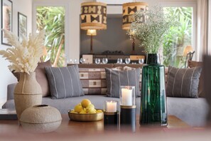 Télévision, cheminée, livres, chaîne hi-fi