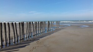 Ein Strand mit einer Reihe aus Holzpfählen, die sich ins Meer erstrecken.
