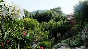 Property grounds - Independent studio rental HYERES For 2 Persons (In House) Setting Bucolic (Var)