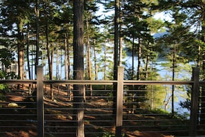 Escape to a serene forest retreat surrounded by tall trees and a tranquil body of water.