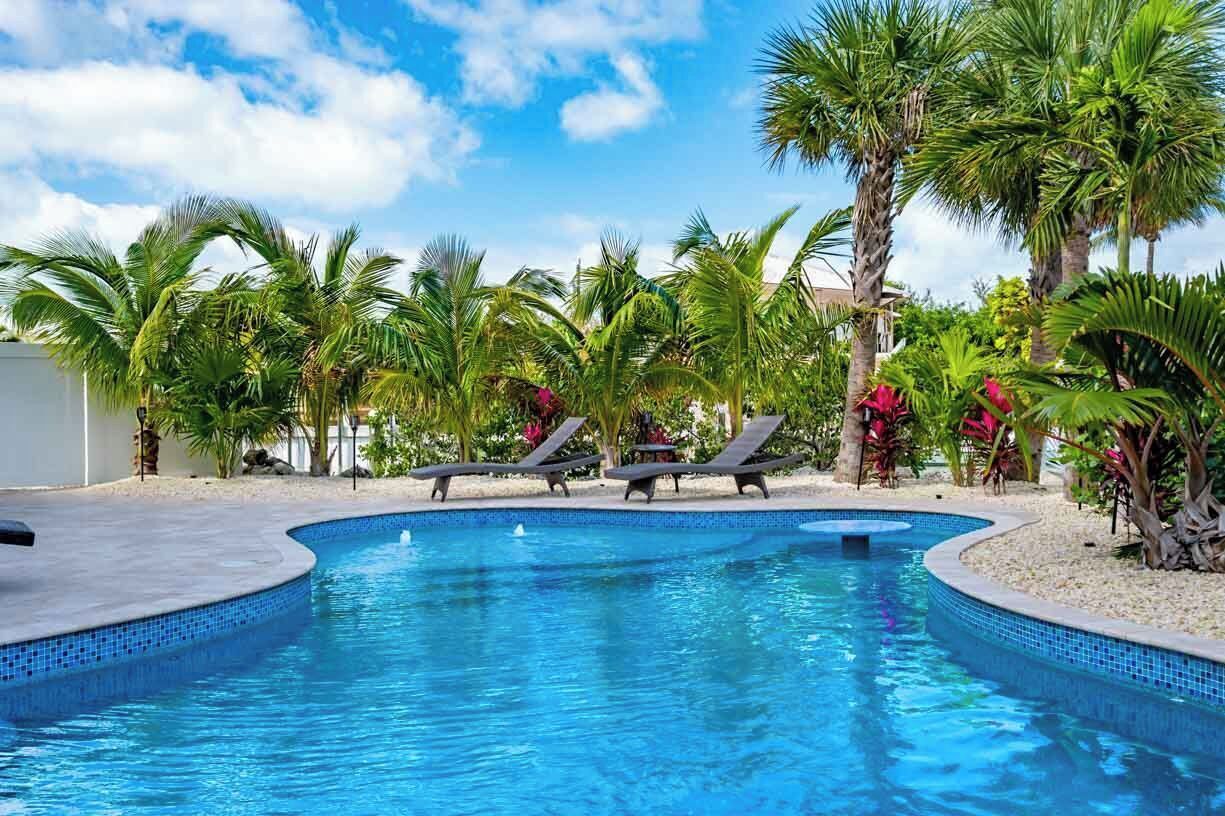 A swimming pool with lounge chairs, surrounded by palm trees and tropical plants.