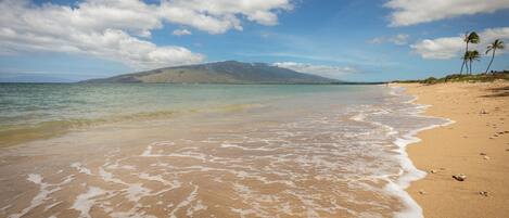 Accommodatie ligt op het strand, ligstoelen, strandlakens